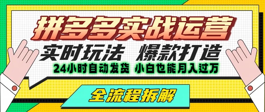 拼多多最新实战运营高投产：长久稳定项目，单店利润一天三位数-铜臭网