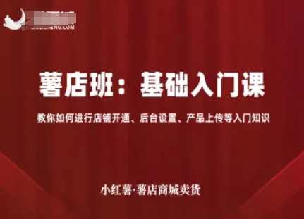 小红薯薯店商城卖货，基础入门课，教你如何进行店铺开通、后台设置、产品上传等入门知识-铜臭网