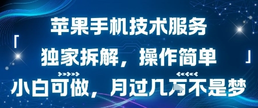 苹果手机技术服务，独家拆解，操作简单，小白可做，月过1W不是梦-铜臭网