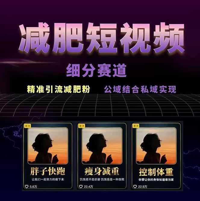 图片[2]-减肥短视频运营实战课：含素材制作、剪映教学，讲精准引流、变现设计与内容模板技巧-铜臭网