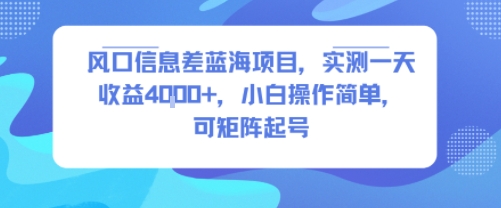 风口信息差蓝海项目，实测一天收益4k+，小白操作简单，可矩阵起号-铜臭网