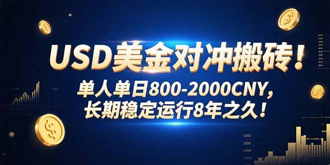 USD美金对冲搬砖!单人单日800-2000CNY，长期稳定运行8年之久!-铜臭网