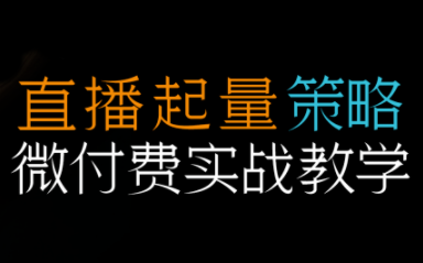 半野老师·直播带货起量与微付费必学课视频号-铜臭网