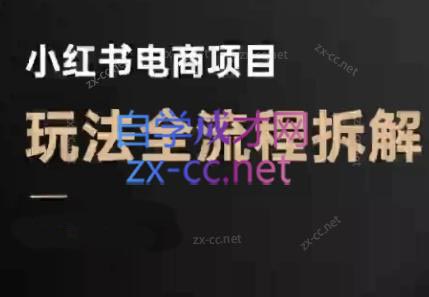 菲菲老师·小红书电商玩法(更新9月)-铜臭网