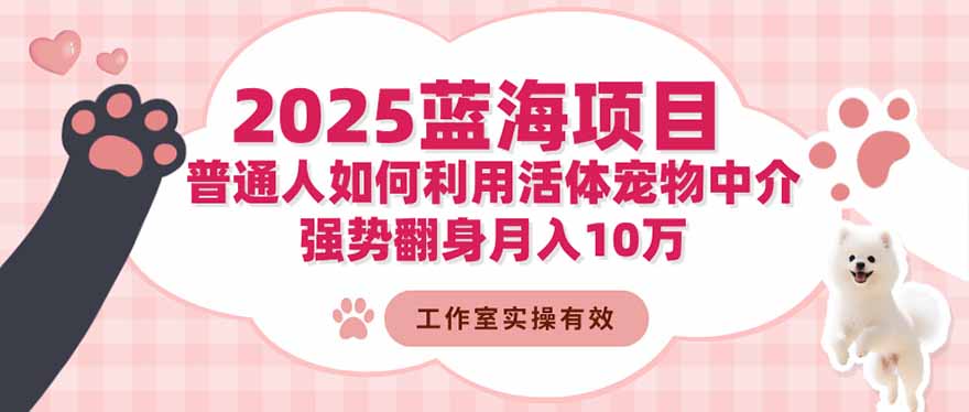 2025蓝海项目：普通人如何利用活体宠物中介，强势翻身月入10万-铜臭网