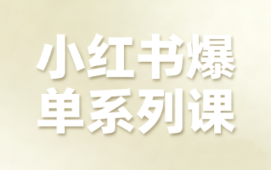 尼采老师·小红书爆单系列课-铜臭网