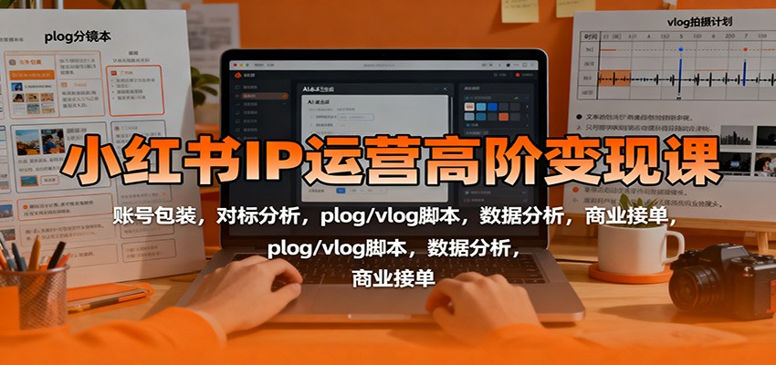 小红书IP运营高阶变现课：账号包装，对标分析，plog/vlog脚本，数据分析，商业接单-铜臭网