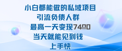 2025年小白都能做的私域项目引流负债人群最高一天变现1k+高变现难度低当天就能见到钱上手快-铜臭网