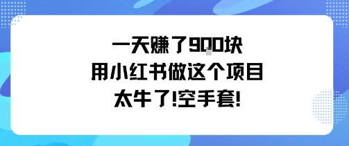 一天挣了9张用小红书做这个项目太牛了，空手套-铜臭网