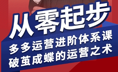拼多多运营进阶系统课，从零起步，多多运营进阶体系课，破茧成蝶的运营之术(更新9月)-铜臭网