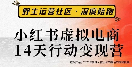 小红书虚拟电商14天变现训练营3.0，​虚拟产品，2025年普通人在小红书最后的搞钱机会-铜臭网