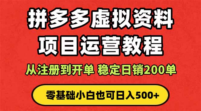 拼多多开店运营课程： 蓝海变现玩法，轻松实现睡后收入 零基础小白也可…-铜臭网