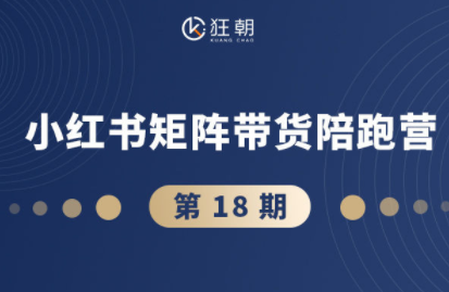 盗坤·抖音小红书视频号短视频带货与直播变现(11-18期)-铜臭网