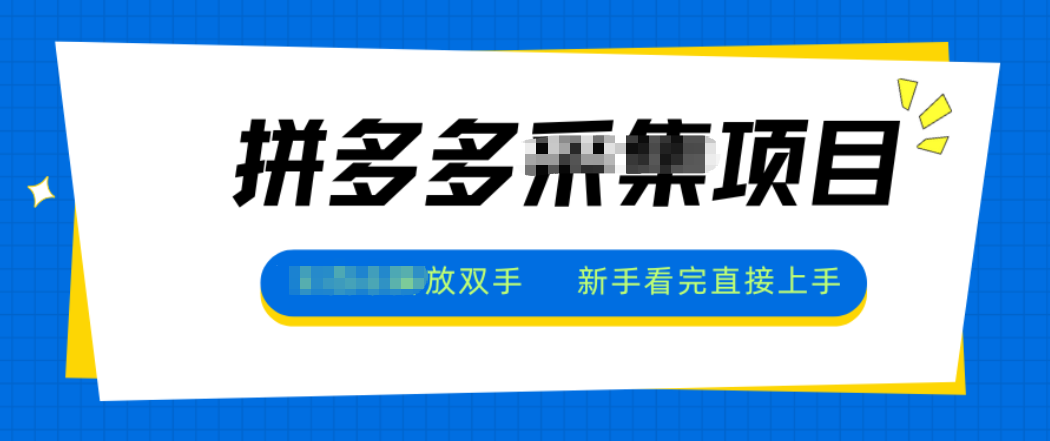 拼多多电商采集，一小时50+，操作简单，零投资-铜臭网