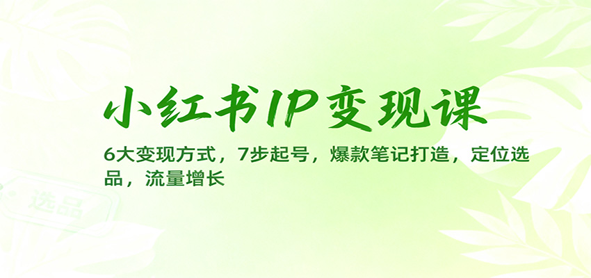 小红书IP变现课：6大变现方式，7步起号，爆款笔记打造，定位选品，流量增长-铜臭网