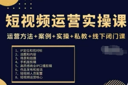 短视频运营实操课，运营方法+案例+实操+私教+线下闭门课-铜臭网