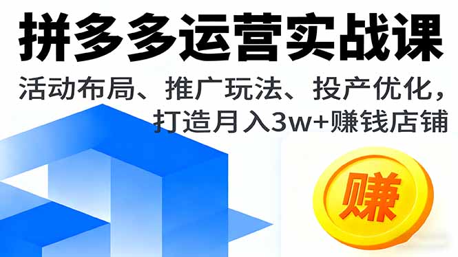 拼多多运营实战课，活动布局、推广玩法、投产优化，打造月入3w+赚钱店铺-铜臭网