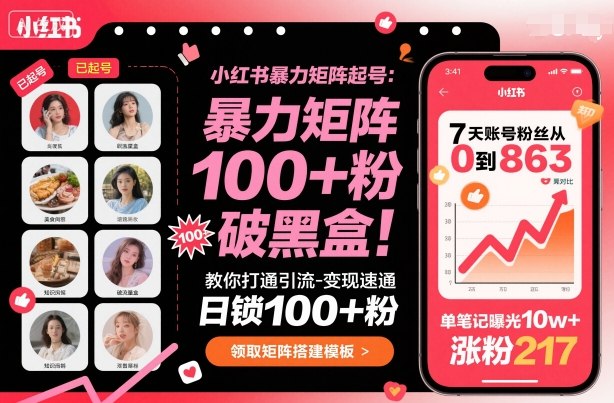 小红书暴力矩阵起号，教你打通引流-变现速通，日锁100+粉，破流量黑盒-铜臭网