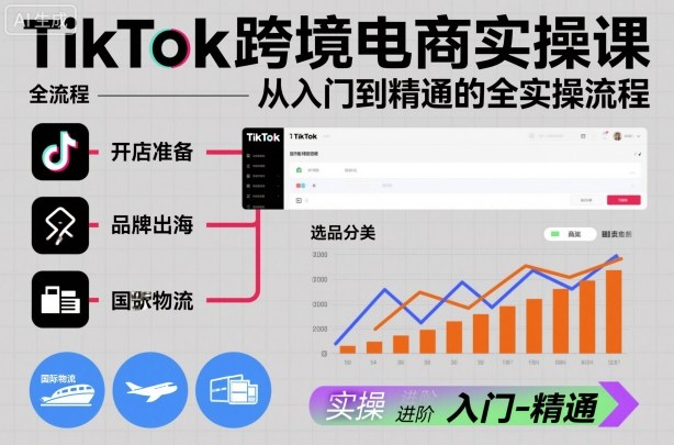 TikTok跨境电商实操课，从入门到精通的全实操流程-铜臭网