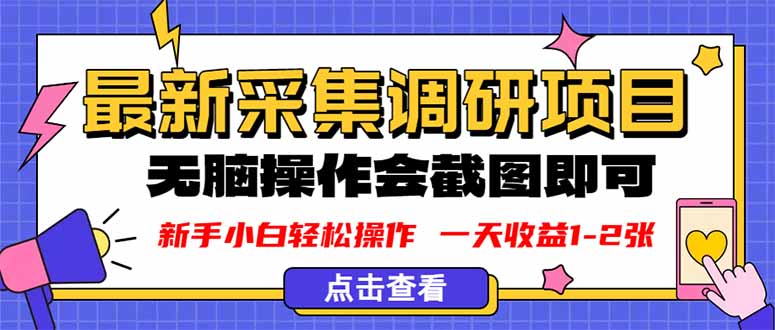 新版采集调研项目，截图上传即可，无脑操作，日收益1-2张-铜臭网