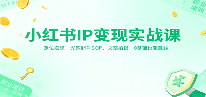 小红书IP变现实战课：定位搭建，光速起号SOP，文案拍摄，0基础也能赚钱-铜臭网