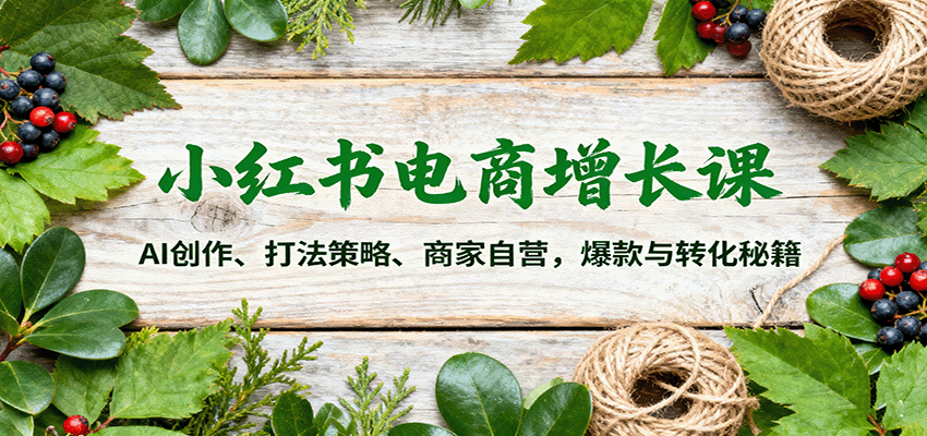 小红书电商增长课：AI创作、打法策略、商家自营，爆款与转化秘籍-铜臭网
