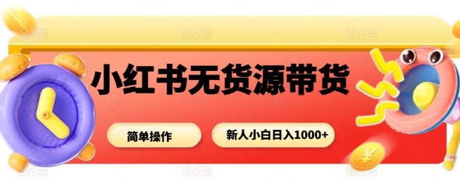 小红书无货源带货项目，简单无脑，新人小白日入多张-铜臭网