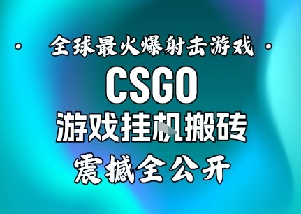 【年底大揭秘】基于全球最火爆的射击CSGO游戏挂G搬砖，日入5张+，震撼公开-铜臭网