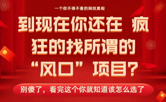 马上26年了，你还在找所谓的风口项目？别傻了，看完这个你全都懂了！【揭秘】-铜臭网