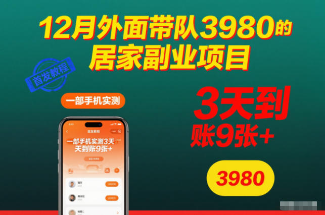 12月外面带队3980的居家副业项目，一部手机实测3天到账9张+，首发教程【揭秘】-铜臭网