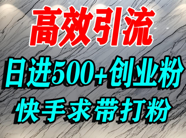 怎么打创业粉？快手求带视角精准引流创业粉，宝妈、学生群体日进500+精准流量-铜臭网