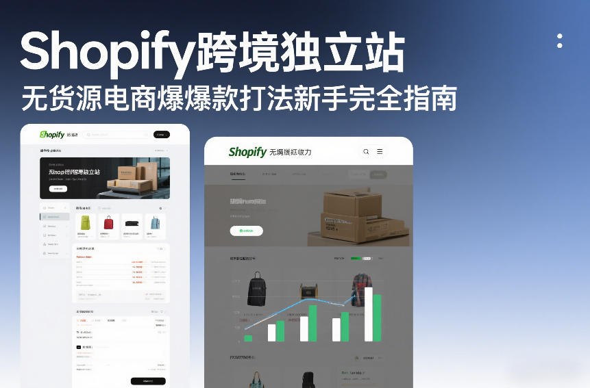 Shopify跨境独立站无货源电商爆款打法新手完全指南-铜臭网