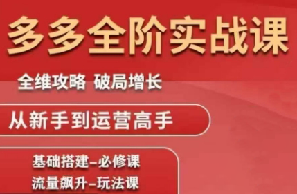 大炮·拼多多全阶实战课程(更新2026)-铜臭网