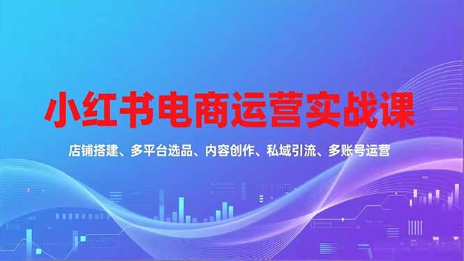 小红书电商运营实战课，店铺搭建、多平台选品、内容创作、私域引流、多账号运营等玩法-铜臭网