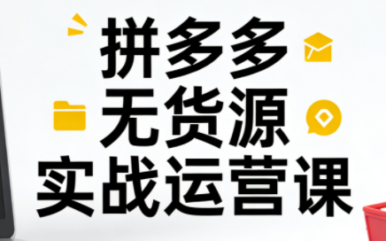 子枫老师·拼多多无货源实战运营课(更新12月)-铜臭网
