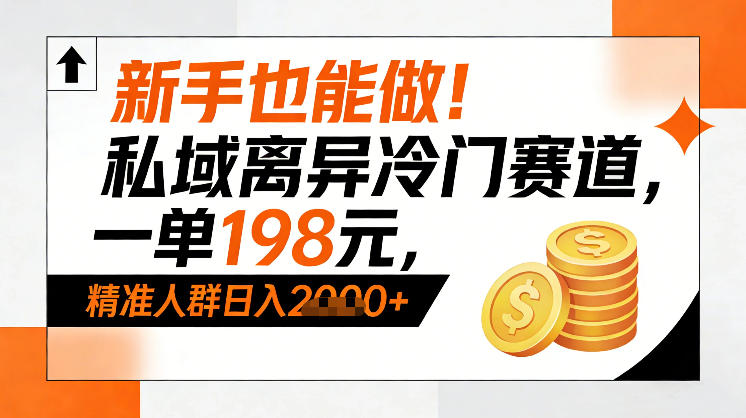 新手也能做！私域离异冷门赛道，一单198，精准人群日入1k+-铜臭网