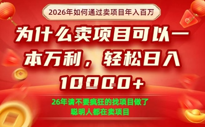 一单净利润1K+，26年想年入100个W，死磕卖项目就够了【揭秘】-铜臭网