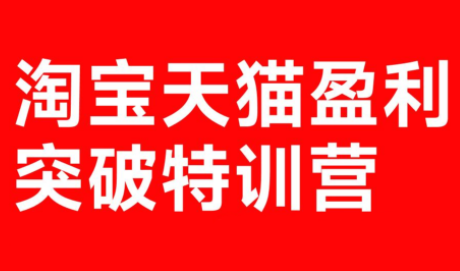 玺承·淘宝天猫盈利突破特训营(25年12月线下课)【音频+字幕】-铜臭网