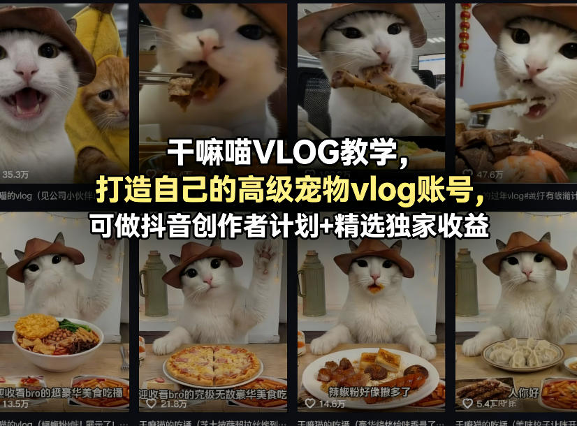 干嘛喵VLOG教学，打造自己的高级宠物vlog账号，可做抖音创作者计划+精选独家收益-铜臭网