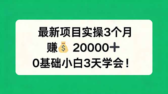 最新项目实操3个月，赚钱20000+，0基础小白3天学会！-铜臭网