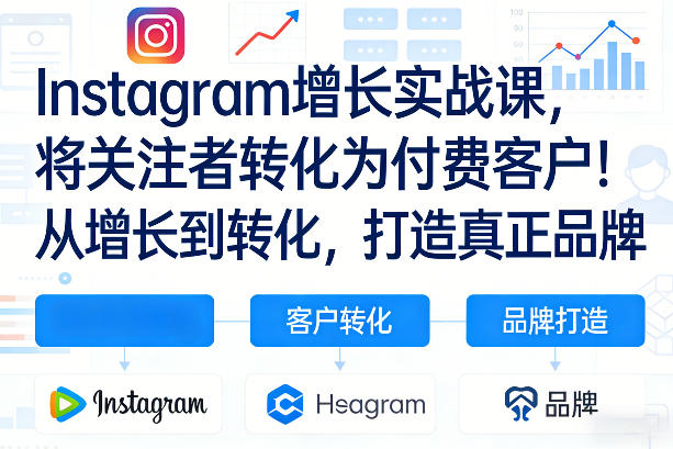 Instagram增长实战课,将关注者转化为付费客户!从增长到转化,打造真正品牌(双语字幕)-铜臭网