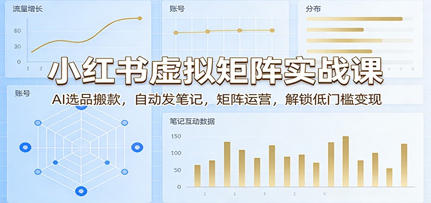 小红书虚拟矩阵实战课:AI选品搬款,自动发笔记,矩阵运营,解锁低门槛变现-铜臭网