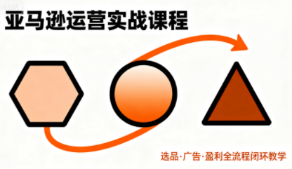 毕方电商·亚马逊全站会员课程(更新3月)-铜臭网