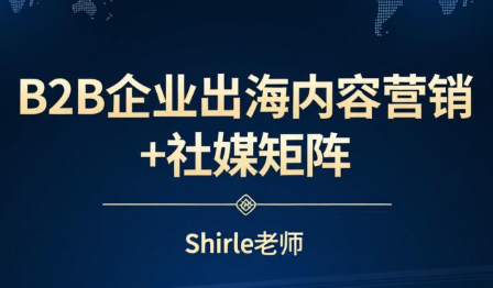 shirle老师·B2B企业出海内容营销+社媒矩阵-铜臭网