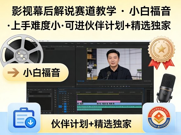 某大佬的影视幕后解说赛道教学,小白福音,上手难度小,可进伙伴计划+精选独家-铜臭网