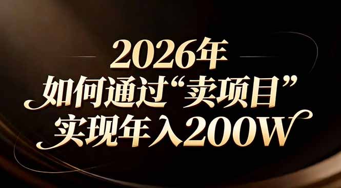 站在2026年的十字路口：一个普通人如何通过卖项目实现年入200万-铜臭网