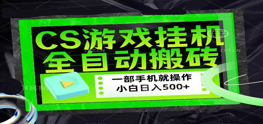 CSGO游戏挂机捡漏搬砖，超稳定的项目，带领1000+小白实现日入500+-铜臭网