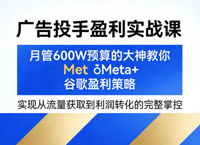 广告投手盈利实战课，月管600W预算的大神教你Meta+谷歌盈利策略，实现从流量获取到利润转化的完整掌控-铜臭网
