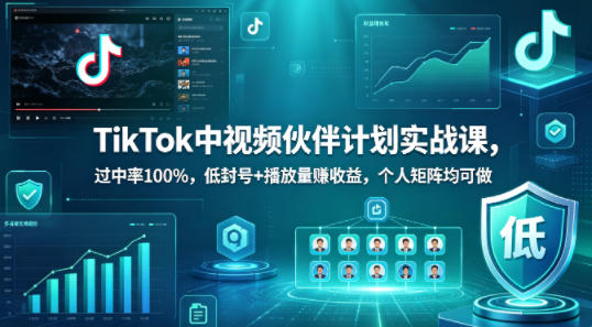 TikTok中视频伙伴计划实战课，过中率100%，低封号+播放量賺收益，个人矩阵均可做-铜臭网