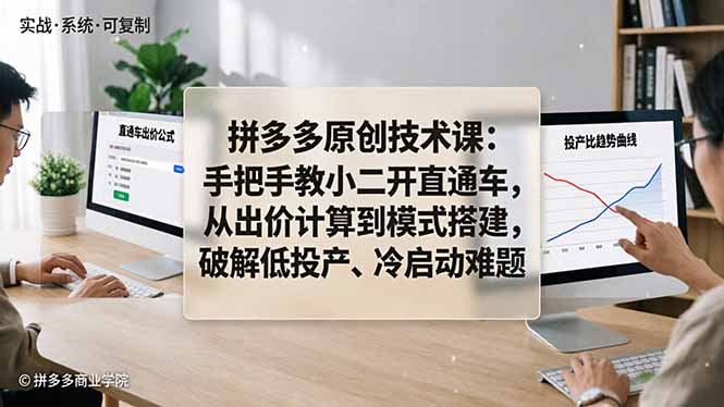 拼多多原创技术课：手把手教小二开直通车，从出价计算到模式搭建，破解低投产、冷启动难题-铜臭网